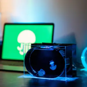 Tafelmodel klein <span class=keywords><strong>aquarium</strong></span>, eenvoudige kleine viskweektank, transparante visbak, visaquarium, aquariums - Product Image 2