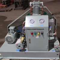 Compresseur à piston 4500 PSI 500 Watt 5000 PSI Compresseur d'air haute pression C2H3Cl 300 PSI pour l'exploitation minière