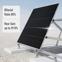 Panneau solaire Tongwei TNC2.0 N Type demi-cellule bifacial double vitrage 720W-740W haute efficacité 23,8% 132 demi-cellules système 1500V CC