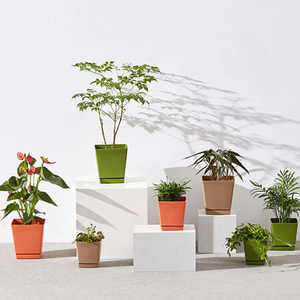 Plateau rond moderne en plastique PP auto-arrosant BRICE <span class=keywords><strong>pour</strong></span> plantes d'intérieur et succulentes - Product Image 1