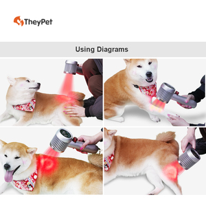 Rumah Sakit hewan hewan menggunakan kelas 4 perangkat terapi laser yang kuat untuk anjing kuda penyembuhan luka <span class=keywords><strong>arthritis</strong></span> pereda nyeri - Product Image 2