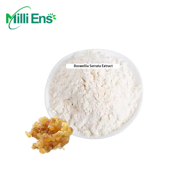 Factory Supply Food Grade Natural 65% Pure Boswellia Serrata Extract