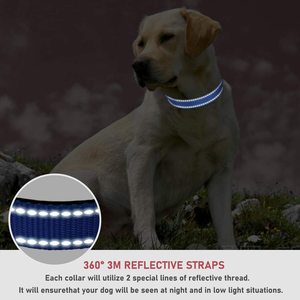 犬の首輪小型犬のためのカスタム反射耐久性のある天然生地エコフレンドリー - Product Image 4