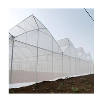 Serre Sinok pour culture verticale, tour hydroponique NFT, système hydroponique pour laitue et serres hydroponiques pour tomates en cocopeat