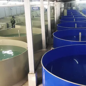 Équipement agricole de crevettes d'intérieur à haute densité, système d'aquaculture de recirculation Ras pour aquafarm