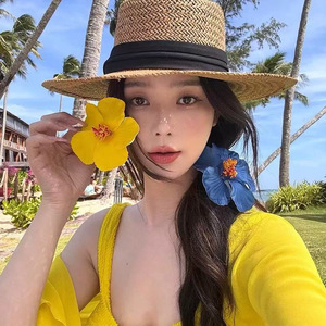 Hochwertige 5cm Ei Haars pange Hawaiian Plume ria Blume Korean Foam Haars pange Fabrik Großhandel Hot Selling Hochzeit im Freien - Product Image 2