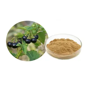 Herba Solani Nigri Extrait Noir Nightshade Extrait Poudre Herb Solanum nigrum Linn Extrait Poudre 10:1