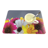 Set de table en PP sans BPA, résistant à la chaleur, lavable, écologique, en plastique, pour enfants, restaurant, logo personnalisé, moderne