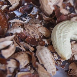 Polvo de cáscara de anacardo Natural, Pellets a granel de 3-10mm, residuos agrícolas, pescado, perro, cerdo, ganado, alimentación de caballos, muy barato - Product Image 1