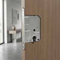Corps de serrure de porte à mortaise néerlandaise Offre Spéciale avec haute sécurité de haute qualité
