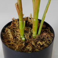 Arbre artificiel Monstera en plastique de 65 cm, plante en pot d'intérieur, décoration de la maison, haute qualité