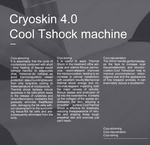 Nouveauté 2025, meilleurs résultats, cryo-amincissement, cryo-tonification, <span class=keywords><strong>appareil</strong></span> Cryoskin Cool Tshock 4.0 - Product Image 3
