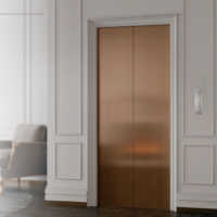 Ascenseur de villa de luxe personnalisable en acier inoxydable, capacité de charge 260-400 kg, capacité 3-5 personnes, intelligent