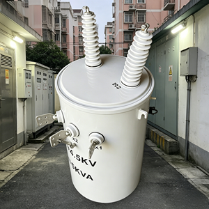 DERUI HOT SALES Factory Price <strong>VKE</strong> Brand 50KVA 12.47V 400V 240V 60Hz Oil-Immersed Single Phase Power Use Transformer 11KV - Product Image 2