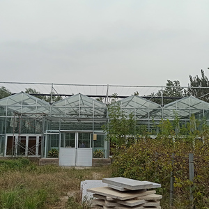 Proyecto <span class=keywords><strong>de</strong></span> invernadero agrícola <span class=keywords><strong>de</strong></span> varios tramos <span class=keywords><strong>de</strong></span> alta calidad para tomate <span class=keywords><strong>fresa</strong></span> con sistema hidropónico - Product Image 4