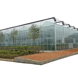 Multi Span Venlo Glas gewächshaus für Hydro ponics Growing System Gurken gemüse