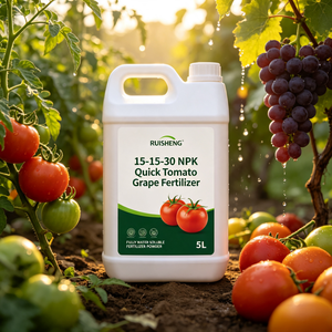 15-15-30 <span class=keywords><strong>NPK</strong></span> <span class=keywords><strong>Engrais</strong></span> rapide pour tomates et raisins 30% Potassium pour fruits plus gros, couleur plus riche, teneur en sucre améliorée, longue durée de conservation - Product Image 5