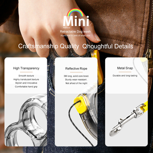 Tùy Chỉnh Pet Đào Tạo Có Thể Thu Vào Con Chó Dây Xích 3M Hands Miễn Phí Ngoài Trời Đi Bộ Dẫn Cho Chó Nhỏ Mèo Chồn Nhà Máy Giá - Product Image 2