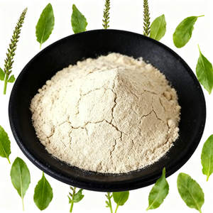 ผงเปลือกไซเลียมคุณภาพสูงจากโรงงาน - Product Image 4