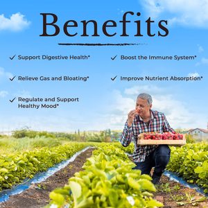 ผู้ผลิตอาหารเสริมโปรไบโอติกส์ ช่วยรักษาสุขภาพทางเดินอาหาร 100 แคปซูล โปรไบโอติกส์แบบแคปซูล - Product Image 3