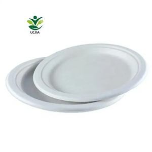 Stoviglie da 9 pollici usa e getta di canna da zucchero compostabili per feste che si occupano di piatti di bagassa eco-friendly
