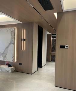 Panneau mural en placage de bois haut de gamme, panneau mural décoratif intérieur personnalisé, panneau mural combiné et armoires de porte intégrées - Product Image 4