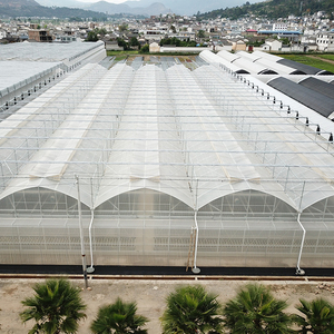 Projet de serre Venlo Commercial Polycarbonate Sunshine Board Fraise sous serre Kit avec prix d'usine à vendre - Product Image 6