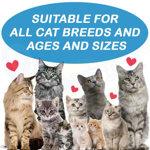 OEM & ODM Pet Health Care integratori organici Pet vitamina E coenzima Q10 pastiglie masticabili salute cuore fegato integratore per gatti - Product Image 5