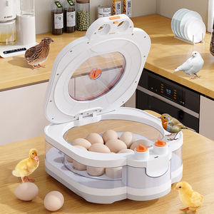 Incubadora de Huevos de Gallina, Producto Nuevo, 8/12/16 Huevos de Aves, Incubadora Automática de Huevos de Ganso, Máquina de Codorniz para Enseñar a los Niños - Product Image 3