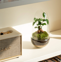 Terrarium en verre borosilicate transparent pour bonsaï, bouteille en verre à dôme en deux parties, kit de jardinage DIY, soufflé à la main, 100% fait main, écologique