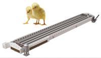 Stock disponible poulette Cage poulet poulailler maisons fermes avicoles H cadre couveuse Cage couveuse poulet