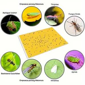 Paquete de Trampas Adhesivas para Insectos, Súper Adhesivas y de Captura Rápida para Insectos Voladores de Plantas - Product Image 5