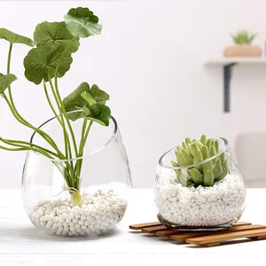 Vase <span class=keywords><strong>en</strong></span> <span class=keywords><strong>verre</strong></span> oblique populaire <span class=keywords><strong>en</strong></span> gros, <span class=keywords><strong>pot</strong></span> <span class=keywords><strong>en</strong></span> <span class=keywords><strong>verre</strong></span> oblique pour plantes aquatiques et mini-fleurs avec décoration de petites pierres - Product Image 1
