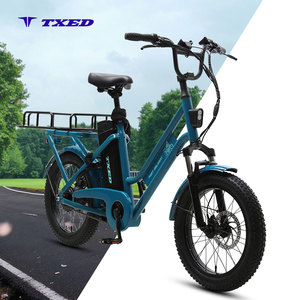 Vélo de livraison électrique TXED 20 pouces à pneus larges, moteur arrière 500W, batterie lithium 25Ah, longue autonomie, vélo <span class=keywords><strong>cargo</strong></span> électrique pour la livraison de nourriture - Product Image 1
