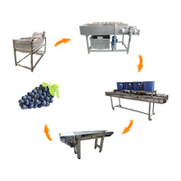 Ligne de nettoyage et de séchage automatisée du raisin Système de lavage et de séchage du raisin pour la production de vin