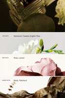 Parfums français célèbres, parfum unisexe 30 ml, parfum longue durée, fournisseur d'essences de parfum en gros