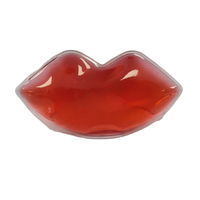 Produits Pratiques et Populaires 2026 Nouveau Produit Sac de Glace pour les Lèvres Sac Refroidissant pour les Lèvres Sac de Glace pour les Lèvres Clinique de Beauté