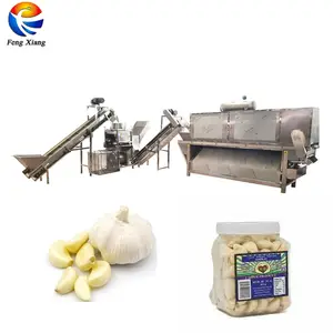 Industrial Automatic Ginger Turmeric Garlic Granule Powder Processing Making Machine