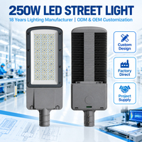 Luminaire LED de 250W pour éclairage public avec plusieurs distributions de faisceaux, IP66, pour larges allées et grandes surfaces extérieures