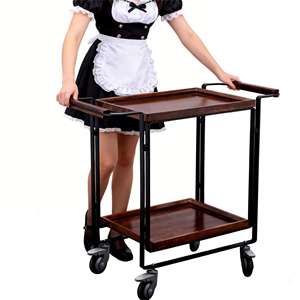 T2G Chariot de Salon Mobile Pliant en Bois Double Couche, Élégant, Moderne, Industriel, Professionnel, Poli, TAN - Product Image 1