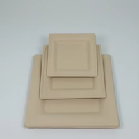 Vaisselle jetable écologique en pulpe de paille de blé, 100 % biodégradable, possibilité de personnalisation de différentes tailles et formes