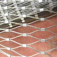 316 filet de maille de corde de câble métallique d'acier inoxydable Flexible pour la technique de surface de Style uni de mur d'escalade de vert de plante