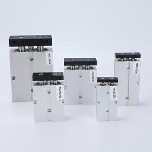 Cylindre pneumatique à double broche série TN, nouveau petit modèle TN10/16/20/25/32X10X15X20X25X30, filtre et tuyau en plastique - Product Image 5