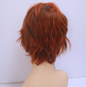 Wholesale 2025 Lace Front Pixie Cut <b>Wig</b> Wholesale 100% Short <b>Wigs</b> Human Hair Bob <b>Wig</b> <b>for</b> <b>Black</b> <b>Women</b> - Product Image 5