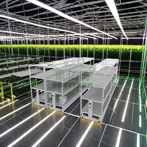 2024 Venta al por mayor Racking interior Agricultura médica Granja Metal Vertical Grow Racks