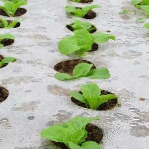 Film en mulet de Protection contre les UV, 10 mètres, transparent/blanc, plastique agricole