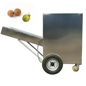 Prezzo di fabbrica automatico di cocco pelapatate per la vendita giovane verde di cocco pelle Peeling macchina con Timer