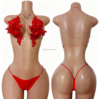 Tenues de strip-teaseuses faites à la main, ensembles de bikinis, vêtements de danse exotiques, disponibles et prêts à être expédiés