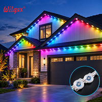 Lampu Luar Ruangan Pintar RGB Permanen dengan Kontrol Aplikasi Jarak Jauh, Sinkronisasi Musik, Tahan Air IP67 untuk Dekorasi Atap Rumah Natal