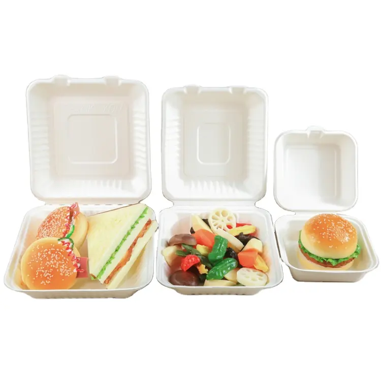Biodegradables Eco Friendly Compostable Clamshell Sugarcane Pulp Food Box Biodegradable Packaging